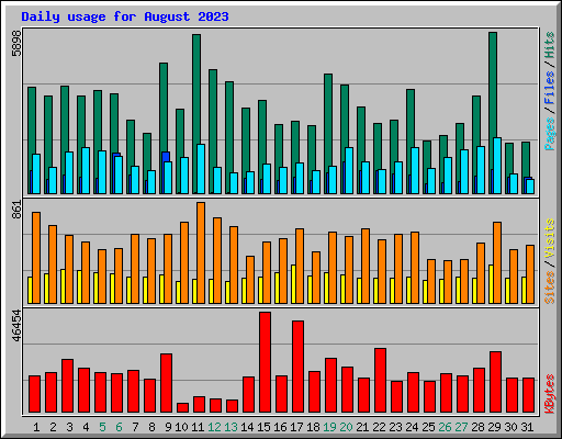 Daily usage for August 2023
