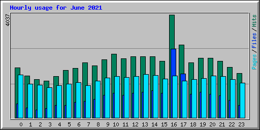 Hourly usage for June 2021