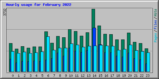 Hourly usage for February 2022