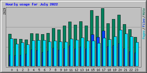 Hourly usage for July 2022