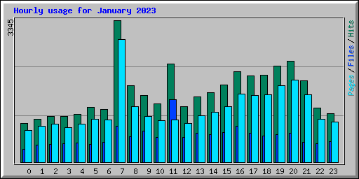 Hourly usage for January 2023