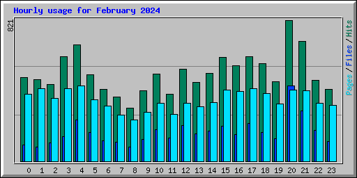 Hourly usage for February 2024